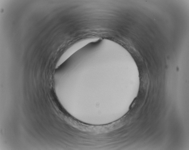 X0000086000031200704201842