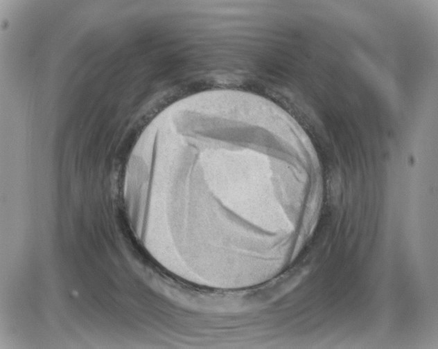 X0000086000032200704201842