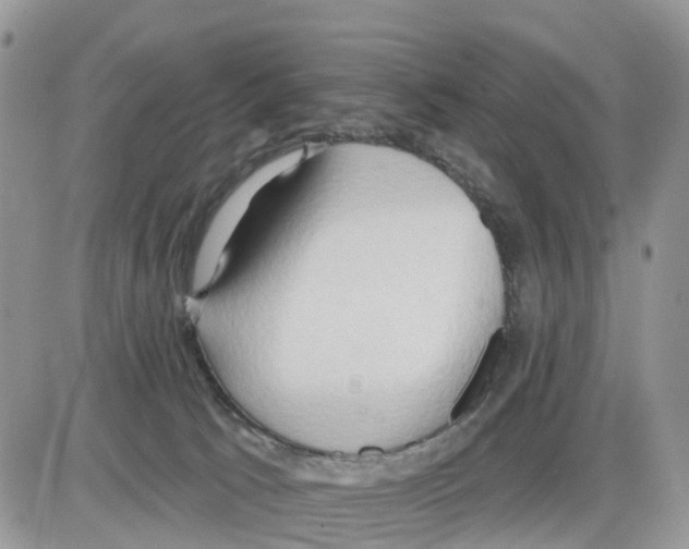 X0000086000033200704201842