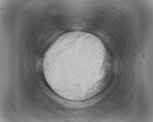 X0000086000034200704201842