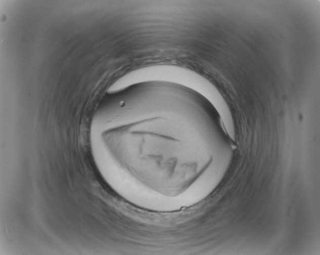 X0000086000035200704201842