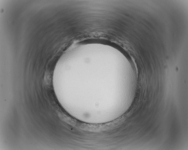 X0000086000037200704201842