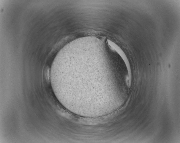 X0000086000041200704201842