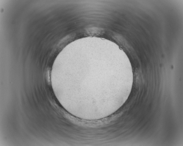 X0000086000042200704201842