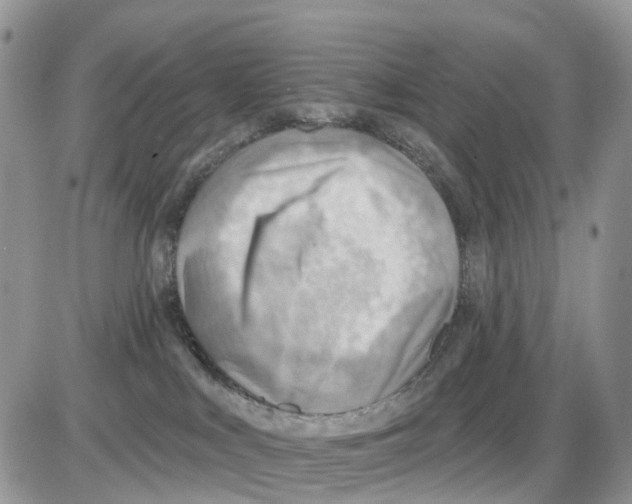 X0000086000043200704201842