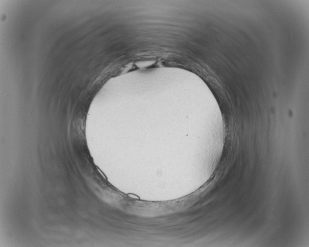 X0000086000045200704201842