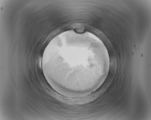 X0000086000046200704201842