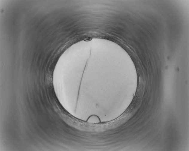 X0000086000048200704201842