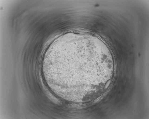 X0000086000049200704201841