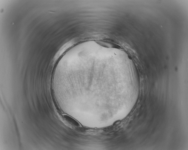 X0000086000051200704201841