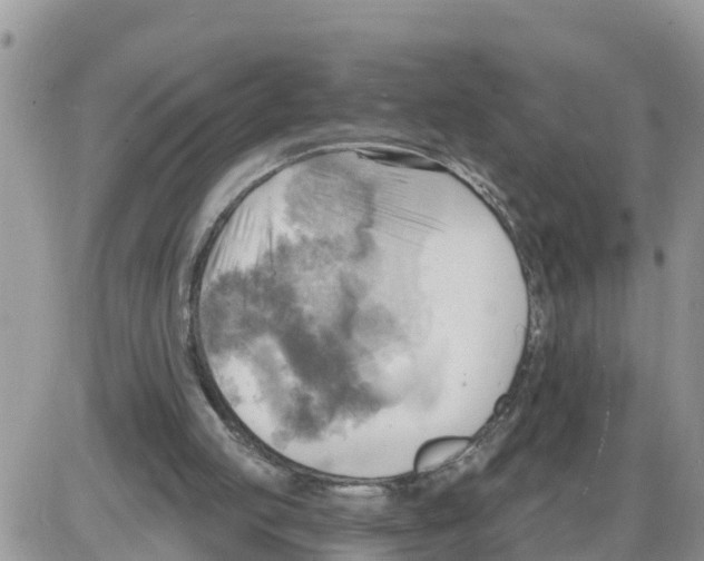 X0000086000053200704201841