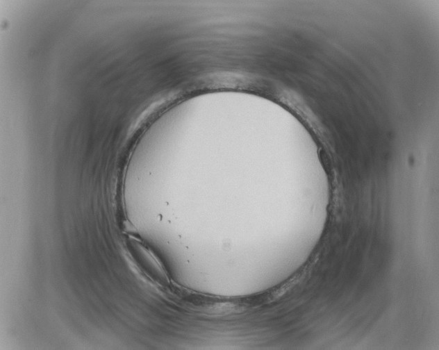 X0000086000058200704201841