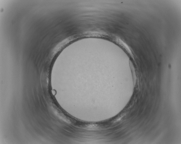 X0000086000059200704201841