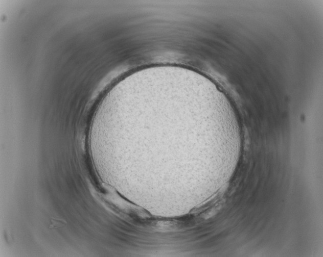 X0000086000060200704201841