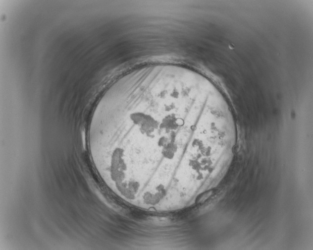 X0000086000061200704201841