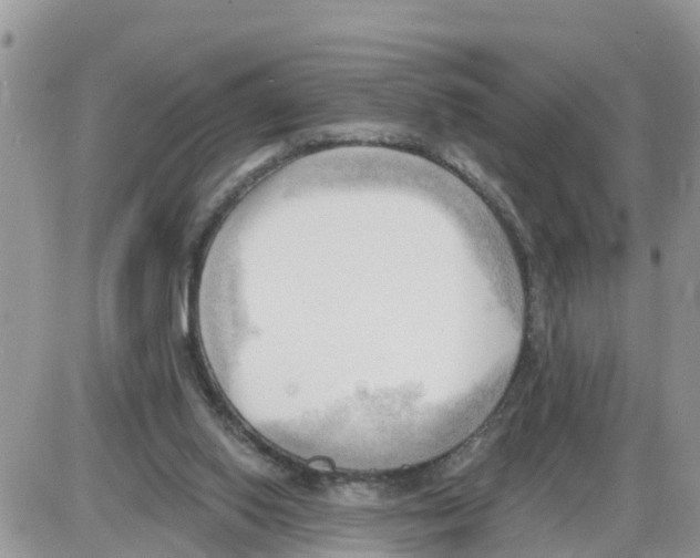 X0000086000062200704201841