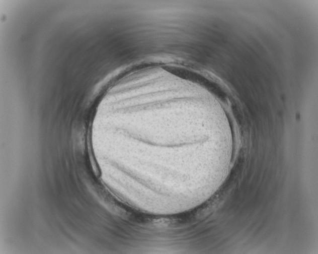 X0000086000064200704201842