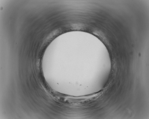 X0000086000066200704201842