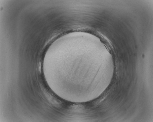 X0000086000067200704201842