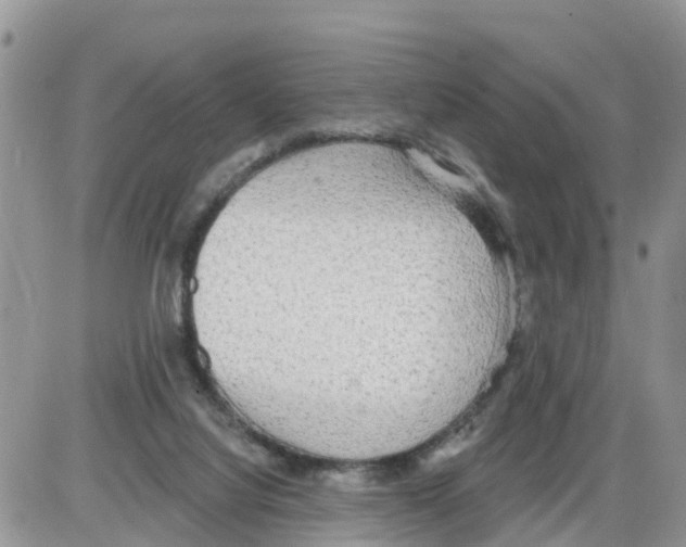 X0000086000068200704201842