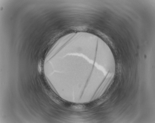 X0000086000069200704201842