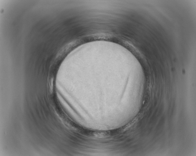 X0000086000070200704201842