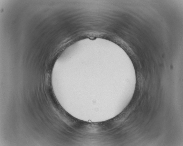 X0000086000071200704201842