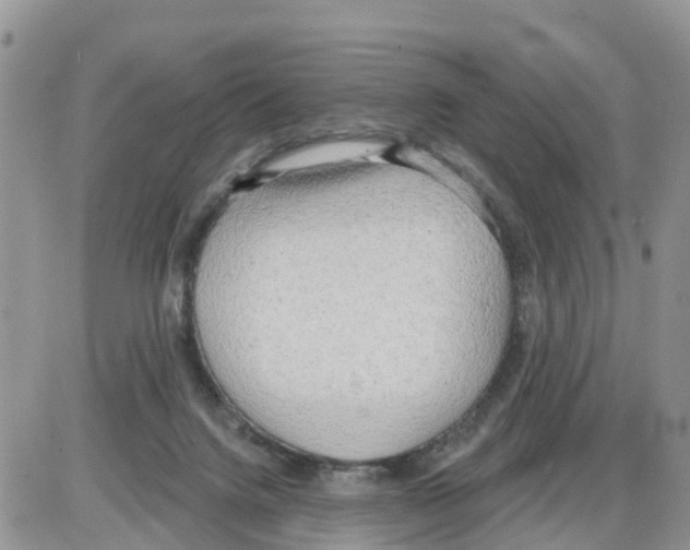 X0000086000072200704201842