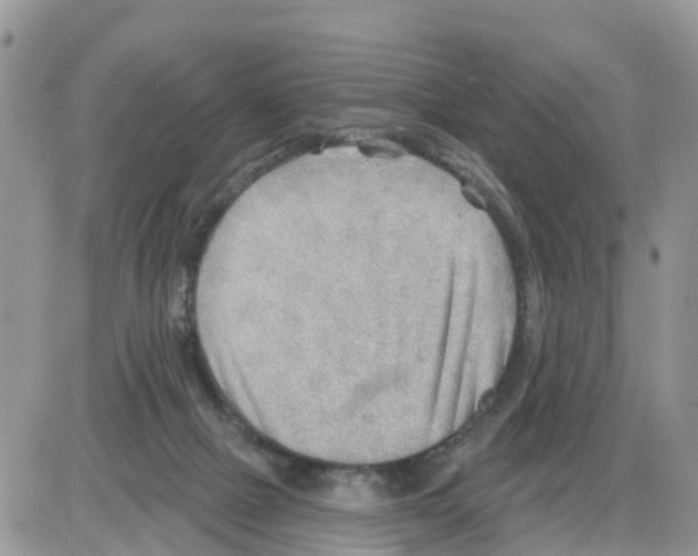 X0000086000073200704201842