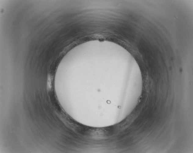 X0000086000075200704201842