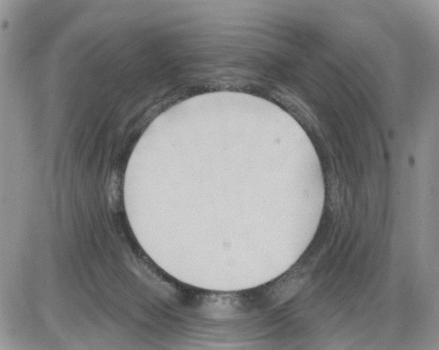 X0000086000077200704201842