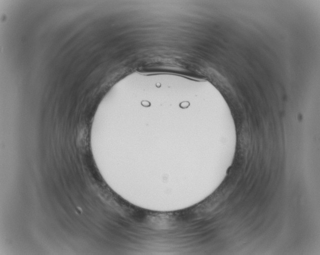 X0000086000079200704201842