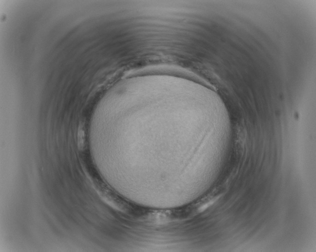 X0000086000080200704201842