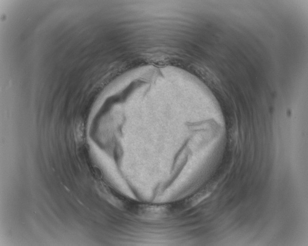 X0000086000081200704201842