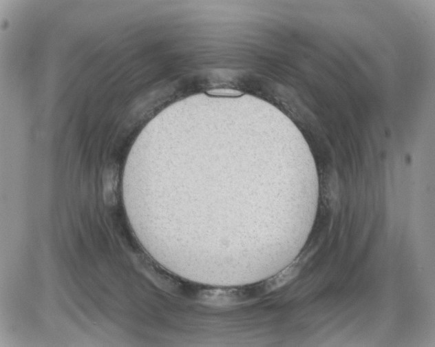 X0000086000082200704201842