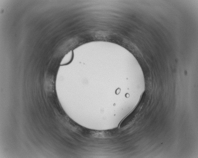 X0000086000083200704201842