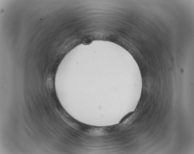 X0000086000086200704201842