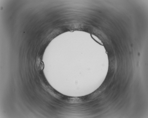 X0000086000087200704201842