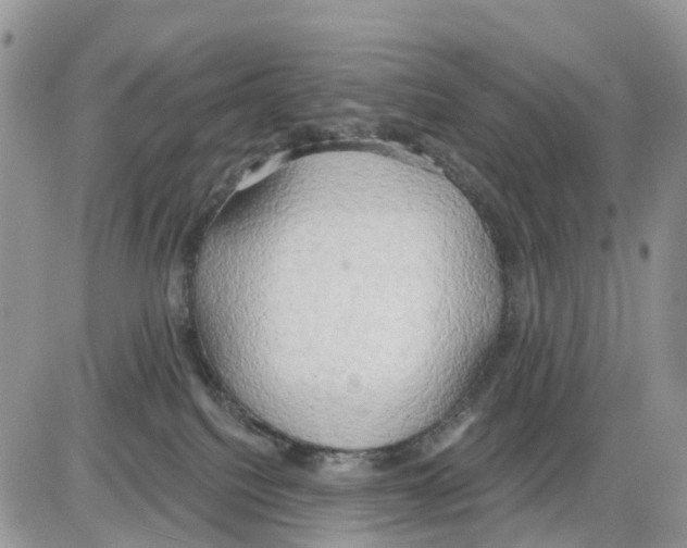 X0000086000088200704201842