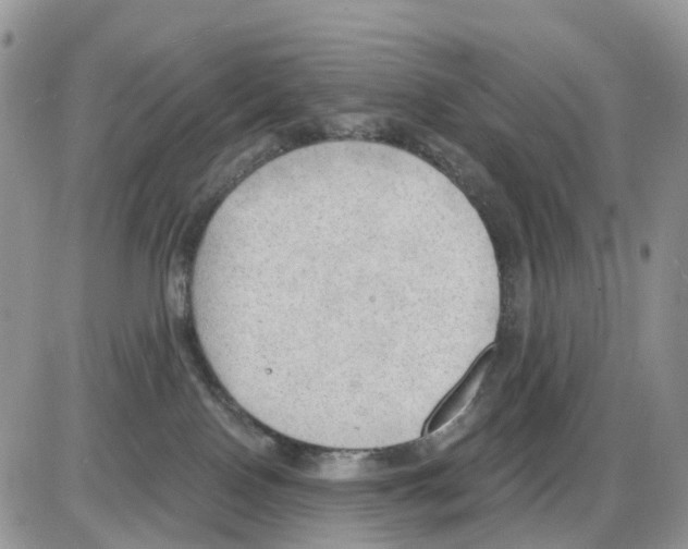 X0000086000090200704201842