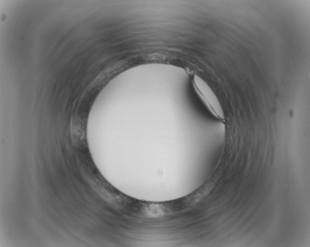 X0000086000091200704201842