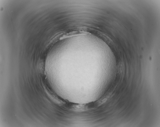 X0000086000092200704201842