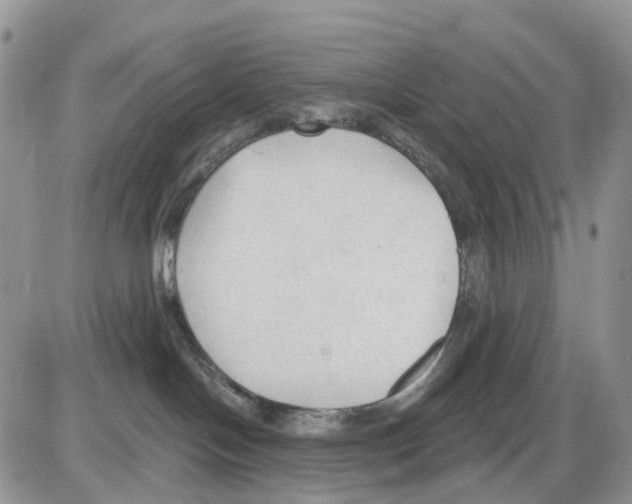 X0000086000094200704201842