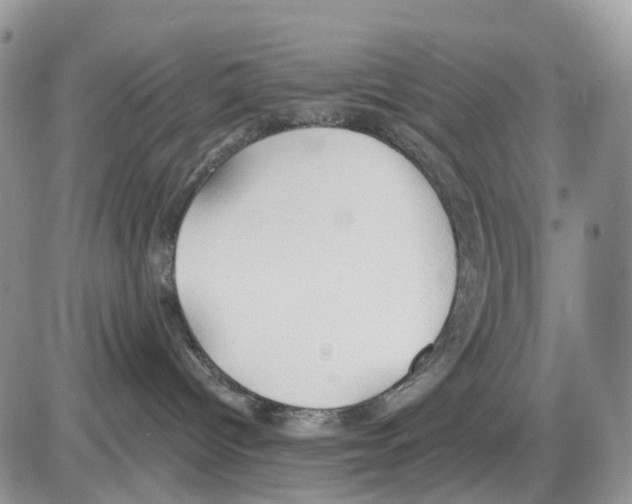 X0000086000096200704201842