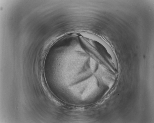 X0000086000097200704201841