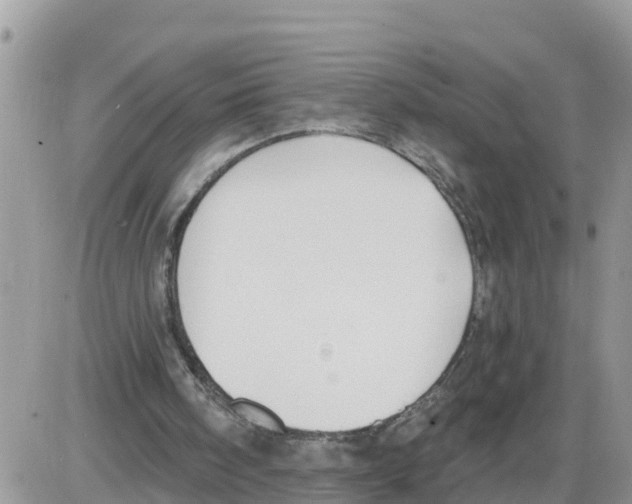 X0000086000098200704201841