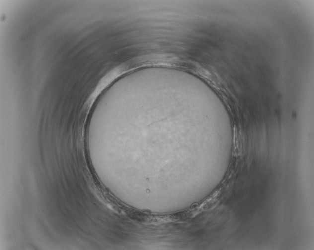 X0000086000099200704201841