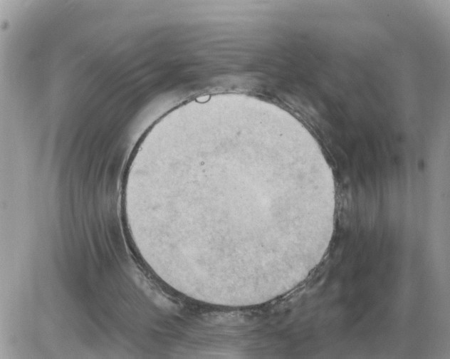 X0000086000100200704201841