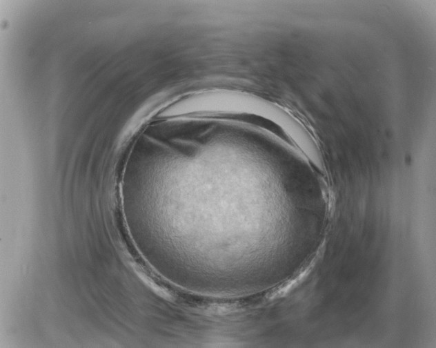 X0000086000101200704201841