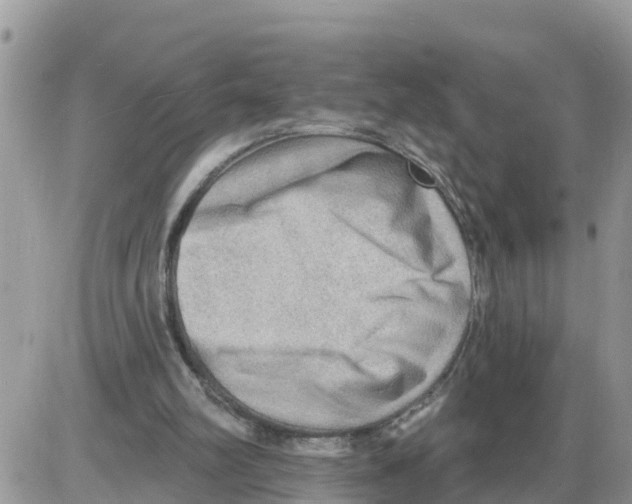 X0000086000102200704201841